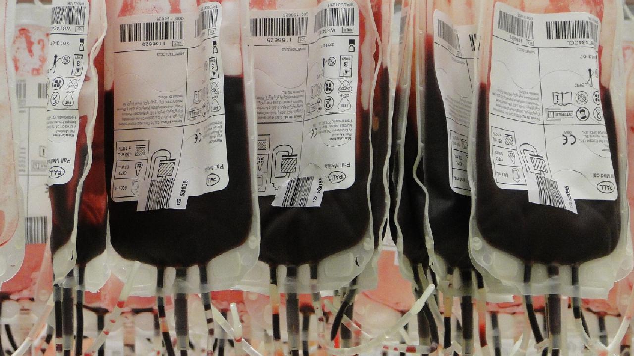 Identificación de grupos sanguíneos